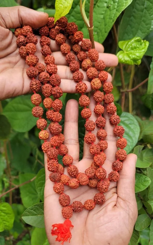 How to Wear and Care for Your Rudraksha
